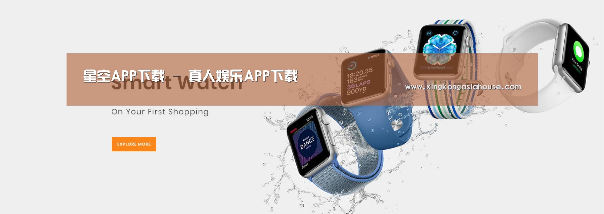 某某网络科技有限公司