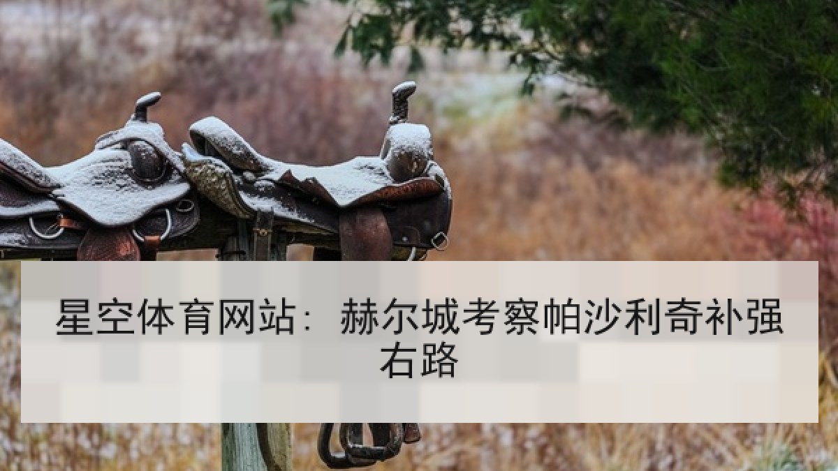 星空体育网站: 赫尔城考察帕沙利奇补强右路 星空体育网站: 赫尔城考察帕沙利奇补强右路
