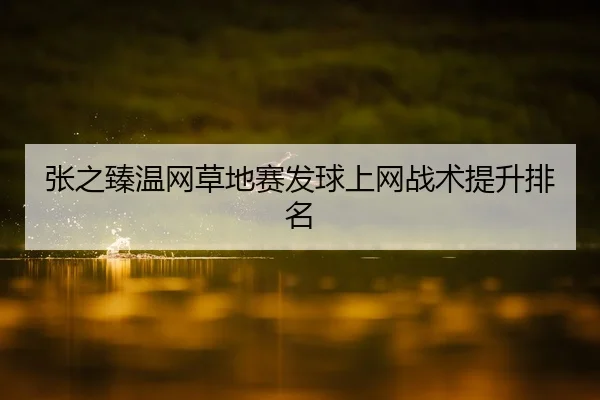 张之臻温网草地赛发球上网战术提升排名