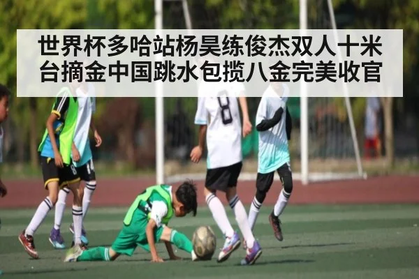 世界杯多哈站杨昊练俊杰双人十米台摘金中国跳水包揽八金完美收官