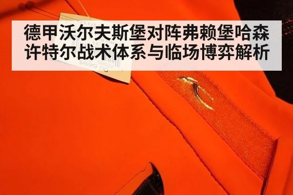 德甲沃尔夫斯堡对阵弗赖堡哈森许特尔战术体系与临场博弈解析