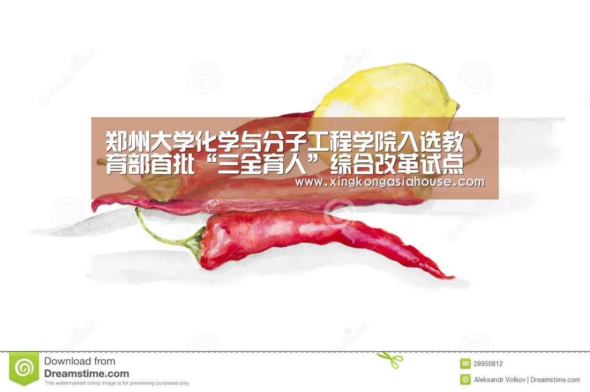 郑州大学化学与分子工程学院入选教育部首批“三全育人”综合改革试点院系-星空APP(图2) 星空APP