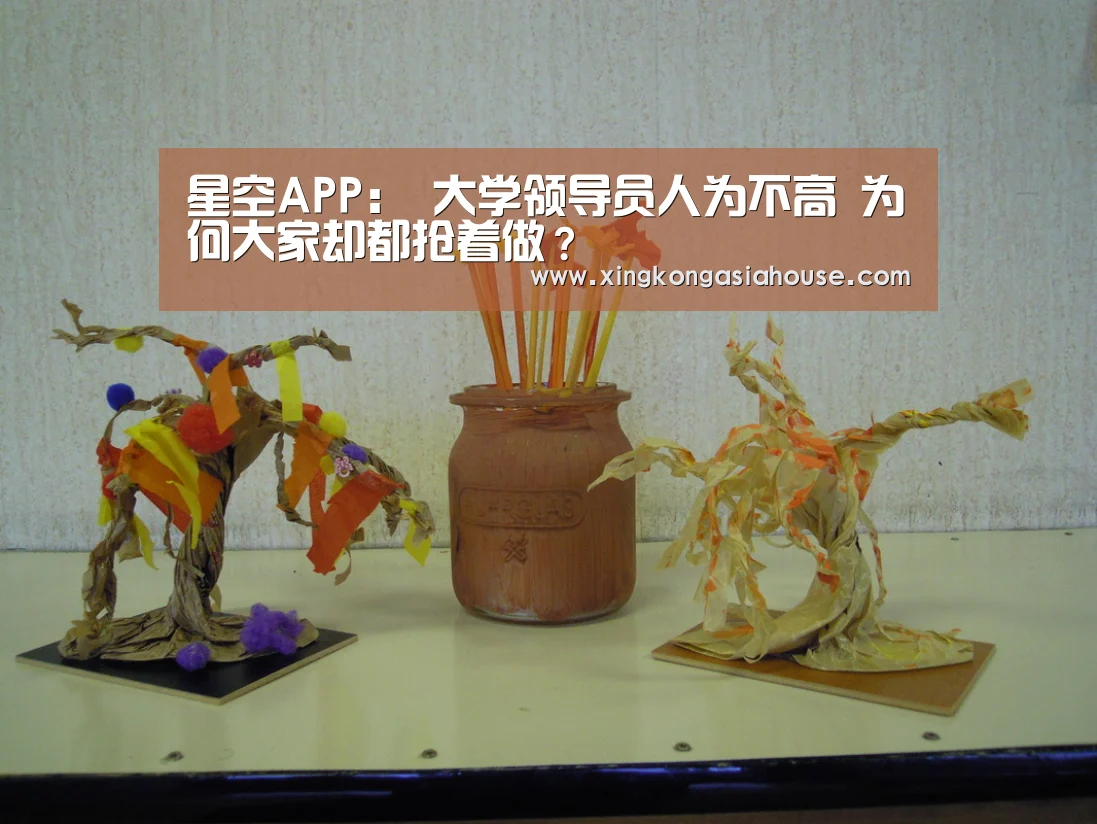 星空APP:
大学领导员人为不高 为何大家却都抢着做?(图4) 星空官网