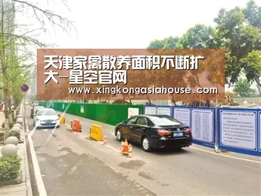 天津家禽散养面积不断扩大-星空官网(图1) 星空官网