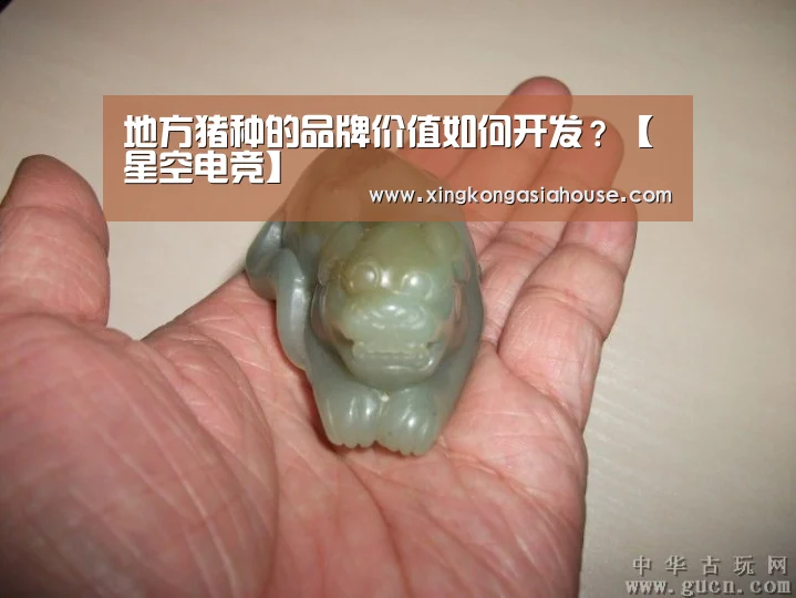 地方猪种的品牌价值如何开发?【星空电竞】(图3) 星空APP